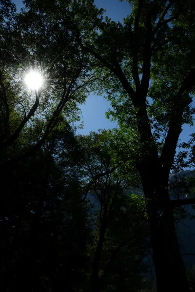 DSC_2382 (Large).JPG